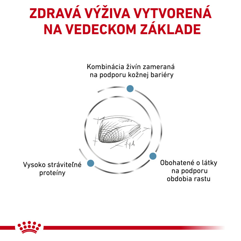 veterinary-health-nutrition-dog-skin-care-puppy-small-dog-10